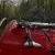 1954 MG T-Series