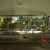Vw Kombi 11 Window 1966 Splitscreen
