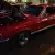 1967 Ford Fastback Mustang - Shelby GT350 Clone