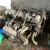 Mercedes w113 Pagoda SL Engine M130 280se