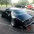1981 Pontiac Firebird Trans Am