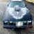 1981 Pontiac Firebird Trans Am