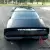 1981 Pontiac Firebird Trans Am