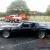 1981 Pontiac Firebird Trans Am