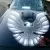 1981 Pontiac Firebird Trans Am