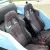  VW GRP BEACH BUGGY LWB 4 SEATER 