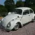  1964 VOLKSWAGEN BEETLE, Pearl White 