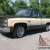 1984 Chevrolet C-10