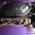 Plymouth : Barracuda 'Cuda