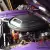 Plymouth : Barracuda 'Cuda