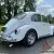 VW Beetle