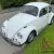 VW Beetle