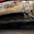 RS 356 RSR 550 911 901 ST TR 906 Rat Rod