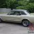 1966 Ford Mustang GT