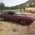 1977 AMC Other