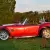1966 Shelby COBRA