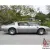 Pontiac : Trans Am 10th anniver
