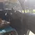  1978 VW Bay Window panel Van with Awning - Rust free, restored, 