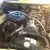 *RARE* 1978 Mercedes-Benz 300CD Base Coupe 2-Door 3.0L