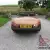  MGB Sports Convertible 1981 Bronze Low Low Mileage 