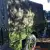 Morris commercial MRA1 1953 GS truck classic lorry