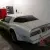 1977 Pontiac Trans Am limited edition