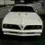 1977 Pontiac Trans Am limited edition