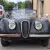 1953 Jaguar XK
