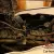 1938 Packard Hearse