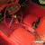 1954 MG T-Series