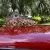 1968 Ford Mustang Shelby Cobra GT500 CustomTributeRestoMod 302 4spd AC DiscBrk