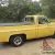 1977 Chevrolet Other Pickups