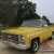 1977 Chevrolet Other Pickups