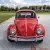 1966 Volkswagen Beetle - Classic