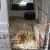austin van 200 j4 J4 barn find restoration project