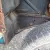 Ford : Mustang FASTBACK