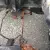 Ford : Mustang FASTBACK