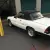 1986 Alfa Romeo Spider