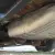 ULTRA LOW MILEAGE BUILD SHEET BOOKS TEXAS SOLID EXAMPLE barn find survivor