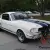 1966 Shelby Cobra