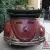 VW Karmann Beetle 1961 in VIC
