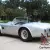 1965 Shelby Cobra
