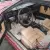 1984 Alfa Romeo GTV