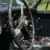 1966 Austin Healey 3000 Mark III