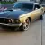 1969 Mustang Fastback GoodGuys award winner. Mustant & Fast Fords Car