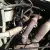 International Harvester Pay Star 5000 two axle dump truck cummings diesel.