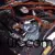 Pontiac : GTO GTO