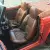 1973 Triumph TR-6