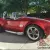 1965 Shelby Cobra Roadster