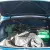 1972 MGB Roadster, Fully restored, Classic convertible.